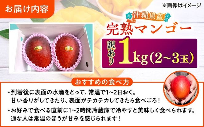 【優秀賞受賞】沖縄県産 完熟マンゴー 訳アリ 1kg (2〜3玉) マンゴー 沖縄 果物 フルーツ ギフト 沖縄市 / MAIFARM[BCAN003]