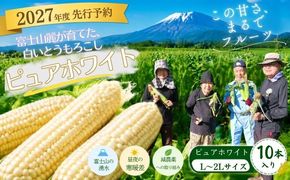 【2027年度 先行予約】 富士山麓が育てた、白いとうもろこし「ピュアホワイト」