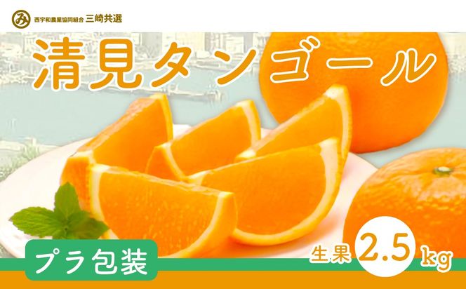 yQɕz^S[iPvE2.5kgjւ̔zs IKTBD006