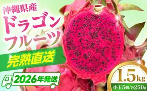 【2026年発送 先行受付】 【小玉】 完熟ドラゴンフルーツ 1.5kg (5玉) 果物 フルーツ スーパーフード 産地直送 無農薬 沖縄市 / タカエスフルーツ＆ベジタブル[BCBH005]