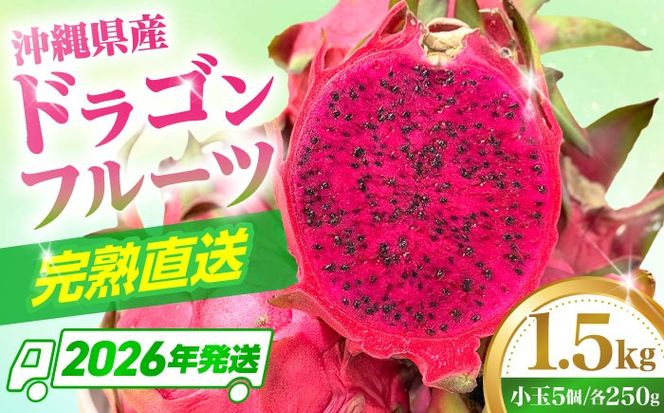 【2026年発送 先行受付】 【小玉】 完熟ドラゴンフルーツ 1.5kg (5玉) 果物 フルーツ スーパーフード 産地直送 無農薬 沖縄市 / タカエスフルーツ＆ベジタブル[BCBH005]