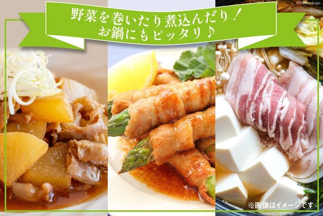 豚肉 宮崎県産 豚バラ スライス 300g ×5p 計 1.5kg [甲斐精肉店 宮崎県 美郷町 31as0113] 豚 小分け 個包装 冷凍 真空パック しゃぶしゃぶ 薄切り