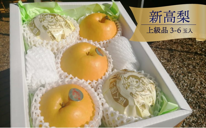 新高梨 上級品 3-6玉 (岡山県産)【KF-C002-01】