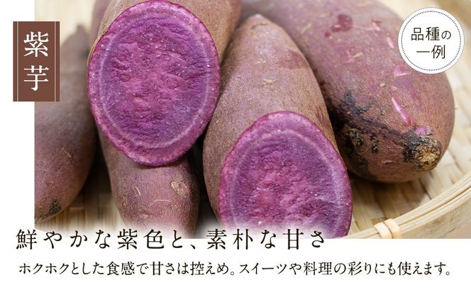 さつまいも の 食べ比べ 3品種（3kg）【2026年10月から発送開始】 （茨城県共通返礼品 [さつまいも]：行方市産） 生芋 芋 いも 野菜 べにはるか 紅あずま シルクスイート 紫芋 [BI415-NT]