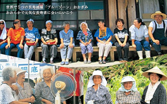 【旅行クーポン】沖縄長寿の里大宜味村 後から選べる旅行9万円分 沖縄 観光 旅行 やんばる 北部 グルメ ファミリー カップル アクティビティ 体験 トレッキング マングローブ カヌー マリンスポーツ ビーチ 海 滝 サイクリング ウェルネス リゾート