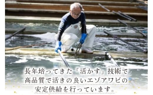 海鮮 魚介 専門問屋が送る 三陸 天然 アワビ (4個入) [マルヤ五洋水産 宮城県 南三陸町 30al0001] あわび 鮑 蝦夷あわび 貝 魚介類 冷凍 刺身 刺し身 活き ステーキ