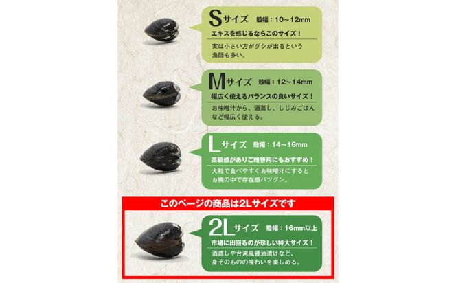 たっぷりエキスの特大しじみ！島根県宍道湖産大和しじみ砂抜き済み 322032_FK001