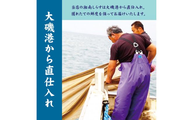 湘南しらす　3色セット 142069_DV013