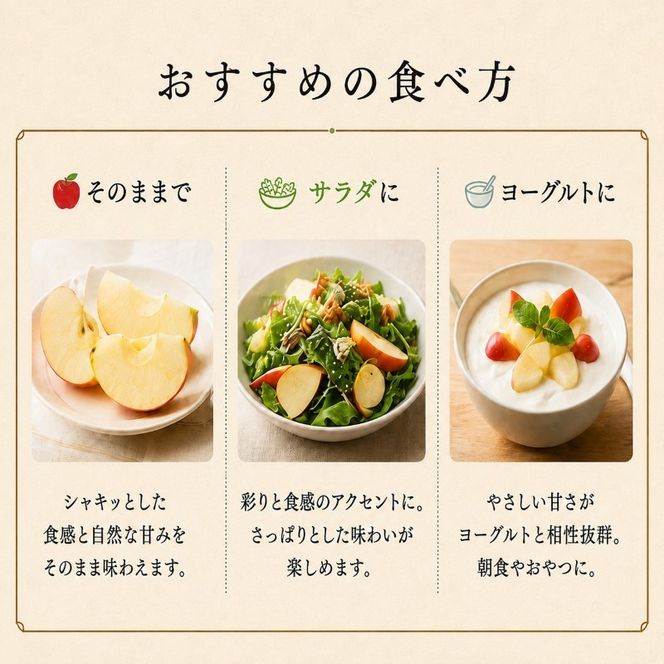 【2026年10月発送】 シナノスイート約3kg 7～9玉 りんご 長野県産