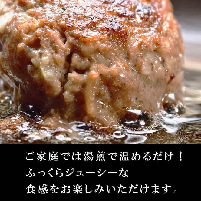 淡路玉ねぎたっぷりハンバーグ（特製ソース付）140g×6個　ハンバーグ