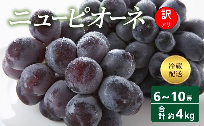 【2026年 先行予約】【訳あり品】ニューピオーネ 6～10房 合計約4kg 冷蔵配送 ピオーネ ぶどう 葡萄 フルーツ 果物 岡山 高梁市