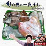 海の京都 橋立やまいち 旬の魚の一夜干し詰合わせ[ 一夜干し 桜干し ギフト ] myz02 myz11 myz17
