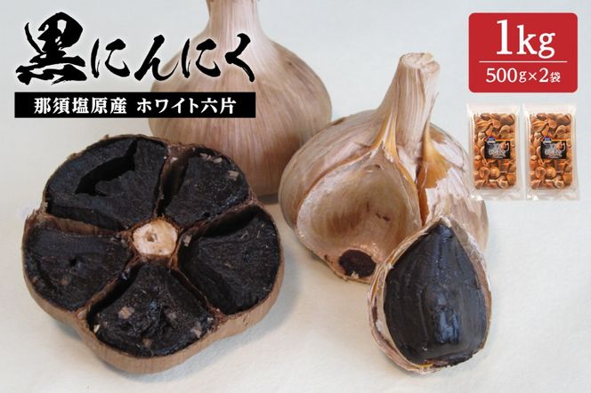 yȖ،ߐ{szns066-005@ߐ{Y zCgZ ɂɂ 1kgy Ȗ، ߐ{s z