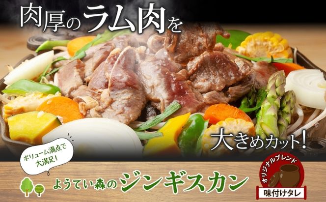 ようてい森のジンギスカン 300g×3パック ジンギスカン グルメ ジビエ お取り寄せ 羊肉 成吉思汗 BBQ パーティー 羊 焼肉 ラム 小分け 夕食 夜食 お土産 エムアンドエフサービス 送料無料 北海道 倶知安町 ラム肉 ソウルフード レトルト 