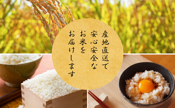定期便 令和7年産 京都丹波産 コシヒカリ 10kg　12回