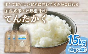 山の湧き水 寒暖差 山里 山里の米･坪野米 R7年産 てんたかく 15kg（5kg×3）｜ 新米 こめ コメ お米 おこめ 白米 精米 お弁当 おにぎり 香り うまみ あまみ 富山 魚津　※北海道・沖縄・離島への配送不可