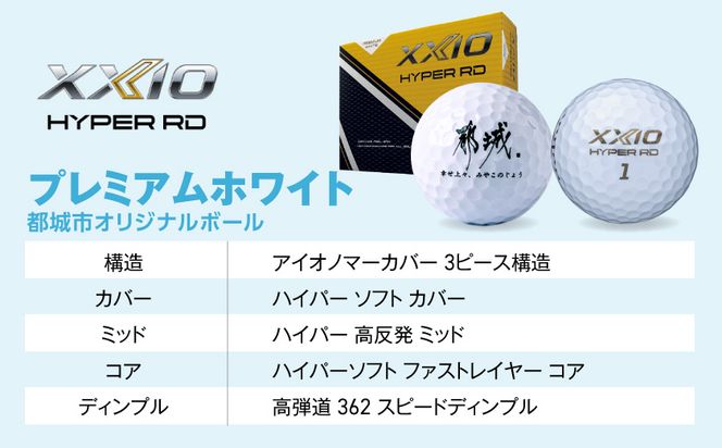 ゼクシオ 14 スチールシャフト 12本セット ≪2025年モデル≫ ゴルフボールセット _IN-C701 _（都城市） ドライバー フェアウェイウッド ユーティリティ アイアン ダンロップ XXIO メンズ レディス 女性用 ゴルフ用品 ゴルフクラブ ギア クラブセット フルセット ふるさと納税 ゴルフ 宮崎県 都城市