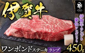 伊賀牛ワンポンドステーキ(ランプ)　450g×1 koma0028