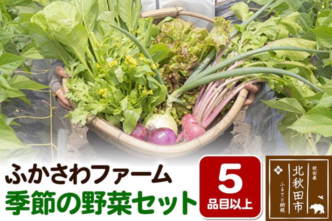 ふかさわファーム 季節の野菜セット [野菜 野菜セット 旬 詰合せ セット 秋田県産]|fksf-060101