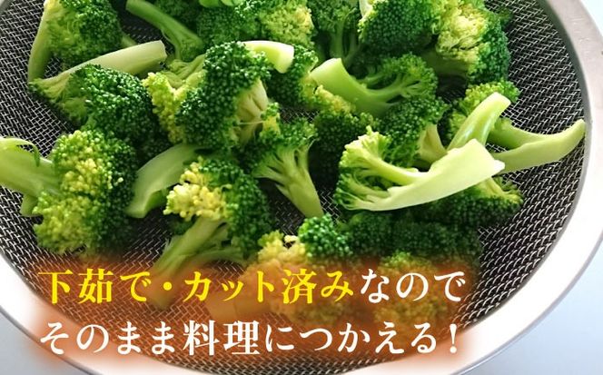 ブロッコリー 1kg 冷凍 旬の時期に急速冷凍 【福岡県糸島産】 糸島市 / オーガニックナガミツファーム 野菜[AGE053]