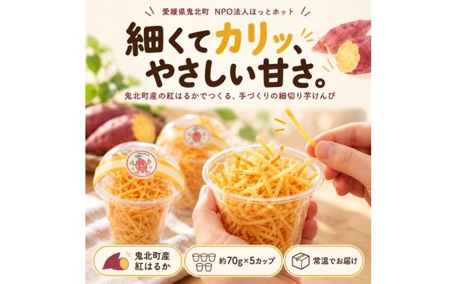 手づくり 細切り芋けんぴ 5個セット ｜ さつまいも 紅はるか 和菓子 おやつ 愛媛県 鬼北町 NPO法人くらしのお手伝い・ほっとホット