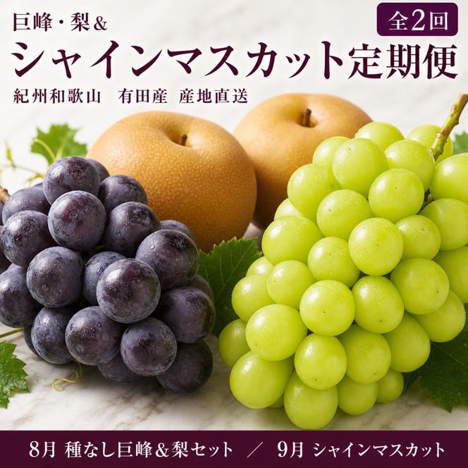 定期便 8・9月発送 紀州有田産旬のフルーツセット（種なし巨峰＆梨セット×計約2kg・シャインマスカット×約2kg）  AN068