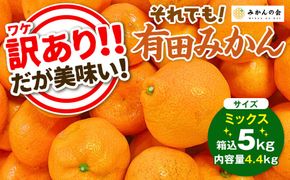 訳あり それでも 有田みかん 箱込 5kg (内容量約 4.4kg)  サイズミックス B品 有田みかん 和歌山県産 産地直送 家庭用［2025年11月中旬より2026年1月中旬頃順次出荷予定］［みかんの会］ AX213