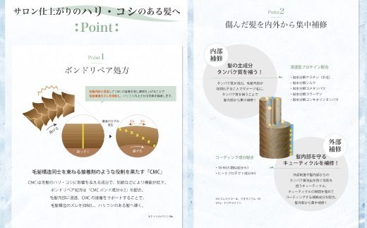 6回 定期便 サロン・ド・オーデ ボンドリペア シャンプー ＆ トリートメント つめかえ用 各 440ml 2本 セット 合計 12本 ダメージ補修 ボトル 液体 アロインス製薬 美容 美容品 化粧品 高知 高知県 四万十 四万十市 しまんと 25-868