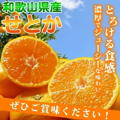 G7354_【2027年先行予約】【家庭用 訳あり】 とろける食感！ジューシー柑橘 せとか ミカン 春みかん 果物 果実 フルーツ 柑橘 デザート お取り寄せ 和歌山県 湯浅町 送料無料