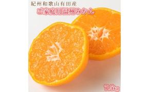 【先行予約】【ご家庭用訳あり】紀州和歌山有田産温州みかん7.5kg◇｜ふるさと納税 ミカン
