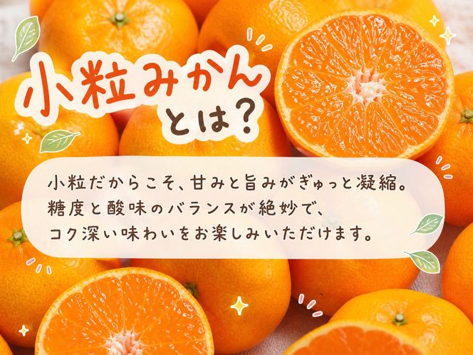 有田の小粒みかん 約5kg (S～3Sサイズ混合)［2026年11月下旬以降発送］［先行予約］［UT134］ 303446_XF91174