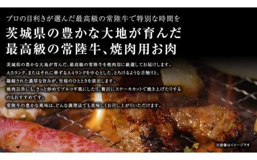 【 常陸牛 】 焼肉用 500g 茨城県共通返礼品 化粧箱入り A4 A5 ブランド牛 国産 牛肉 肉 お肉 黒毛和牛 和牛 ギフト 贈答 [AD009ci]