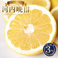 【先行予約】 プレミアム 河内晩柑 3kg L から 3L 優品 贈答用 樹齢 20年 以上 古木 厳選 大玉 果実 特選 直送 和製 グレープフルーツ 愛南ゴールド フルーツ 人気 柑橘 爽やか 甘み ジューシー 果汁 旬の果物 くだもの みかん 産地直送 農園直送 春 味覚 初夏 デザート ジュース おすすめ 生搾り デザート ゼリー 愛媛県 愛南町 清家ばんかんビレッジ