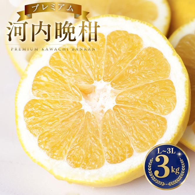 【先行予約】 プレミアム 河内晩柑 3kg L から 3L 優品 贈答用 樹齢 20年 以上 古木 厳選 大玉 果実 特選 直送 和製 グレープフルーツ 愛南ゴールド フルーツ 人気 柑橘 爽やか 甘み ジューシー 果汁 旬の果物 くだもの みかん 産地直送 農園直送 春 味覚 初夏 デザート ジュース おすすめ 生搾り デザート ゼリー 愛媛県 愛南町 清家ばんかんビレッジ