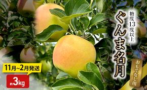 りんご【11月～2月発送】糖度13度以上 ぐんま名月 おもてなし用 家庭用 約3kg【青森りんご】