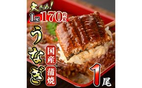 国産 うなぎ 蒲焼 (約170g×1尾) 鰻 タレ かば焼き うな重 うな丼 ひつまぶし 小分け 真空包装 真空パック 【丸正水産】【AW-89】