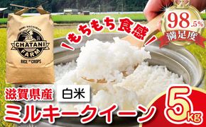 【7年産】近江米　ミルキークイーン 白米【5kg×1袋】【V009W1】