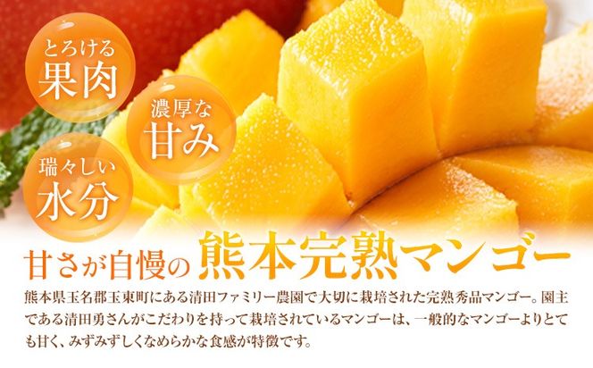 くまもと完熟マンゴー 2～3玉(約1kg～1.2kg前後) 熊本県玉名郡玉東町『清田ファミリー農園』マンゴー 完熟 秀品【日付指定不可】《5月下旬-8月末頃出荷》---gkt_kyfm_2_1kg---