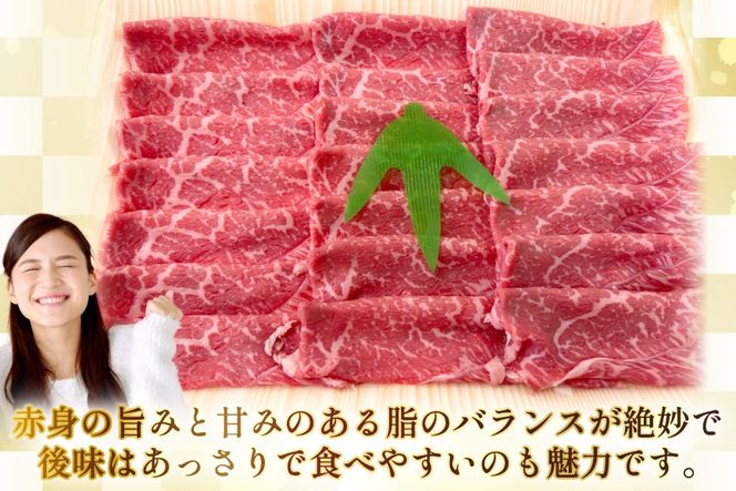AJ502 長崎和牛 もも スライス 約500g [ 肉 牛肉 和牛 おいしい スライス すき焼き しゃぶしゃぶ まるしん商会 黒牛 長崎県 島原市 ]
