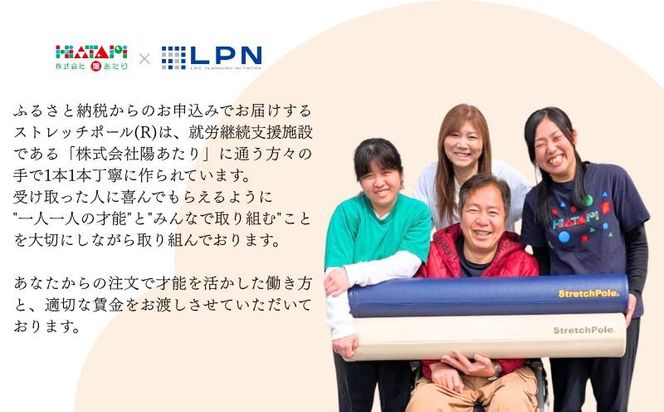 100F078 【LPN社製】ストレッチポールEX 2本セット（ネイビー/アイボリー 各1本)【正規品 セルフケア ストレッチ エクササイズ 腰痛 肩こり 体幹 コアトレ】