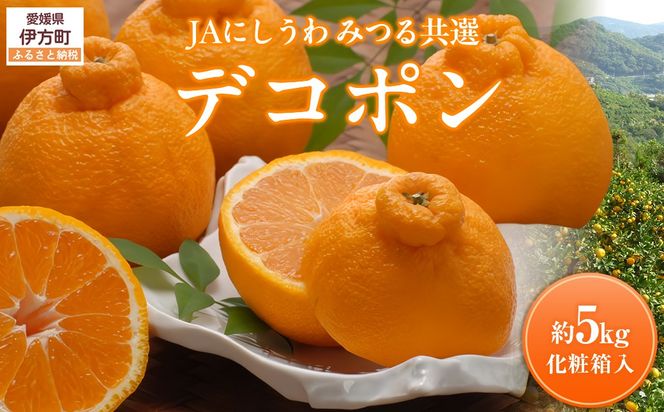 yQɕzys\zyʌzJAɂ ݂鋤I fR| 5kgiϔjւ̔zsi2026N2{菇\j IKTBC008