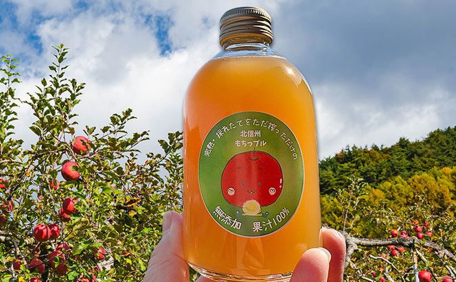 もちっプルのりんごジュース 果汁100% 250ml×10本りんごジュース ジュース 飲料 100%果汁 サンふじ 山ノ内町 もっちーの畑