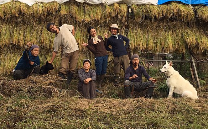 【完全無添加】【安心安全】【こだわりの搾汁製法】種あり巨峰ジュース300ml×4本セット【栽培期間中 除草剤・ネオニコチノイド系農薬・化学肥料不使用】 果実飲料 フルーツジュース 飲み物 グレープジュース