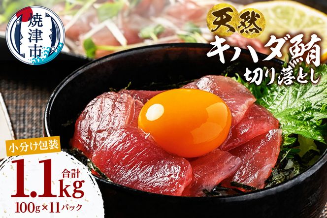 a14-114　天然 キハダマグロ 一口サイズカット 刺身 小分け セット 赤身 1パックあたり 100g 海鮮丼 刺身 寿司 漬け丼 焼津 海の極 1.1kg（100g ×11パック）