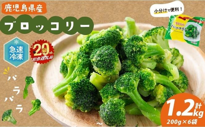 【志布志市制20周年記念】鹿児島県産 冷凍ブロッコリー(計1.2kg) p9-044