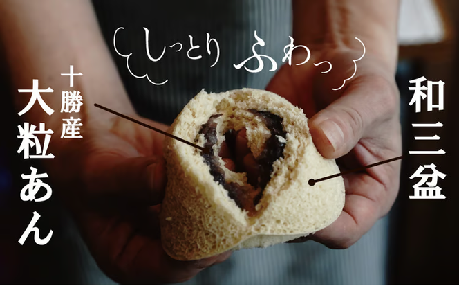 【蒸しどら プレーン 5個入 】和三盆 どら焼き 餡 ふわふわ しっとり食感 あいちの匠 ものづくりマイスター 優秀和菓子職 愛知県優秀技能者表彰受賞 H181-007