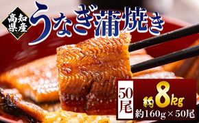 高知県産蒲焼きうなぎ １６０g ５０尾 計８０００ｇ fb-0187
