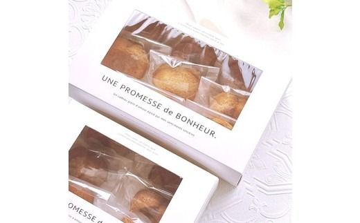 焦がしバターのりんごフィナンシェ6個入