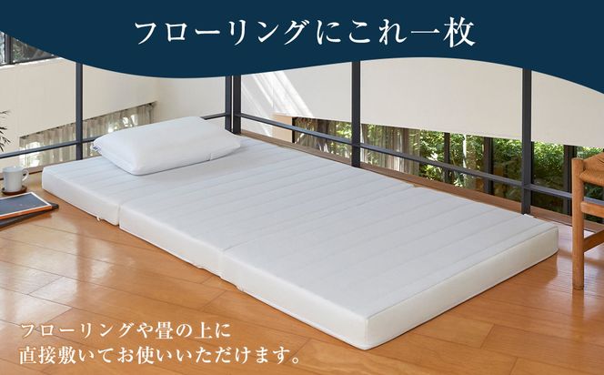 スマートZ01　特別仕様 シングル 232238_T233