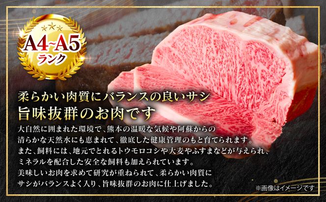 【A4～A5ランク】 【厳選部位】 くまもと黒毛和牛 サーロイン ブロック 1kg 和牛 牛肉 お肉 黒毛和牛 冷凍 焼肉 BBQ おかず 熊本県 八代市